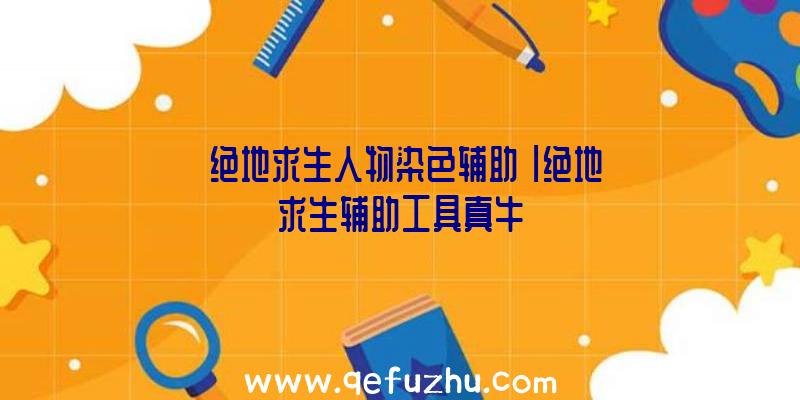 「绝地求生人物染色辅助」|绝地求生辅助工具真牛